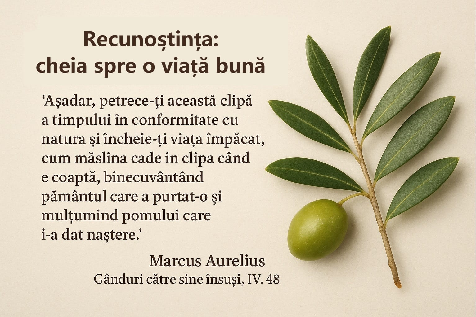 Read more about the article Recunoștința: cheia spre o viață bună