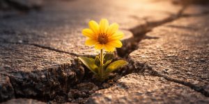 Despre reziliența umană