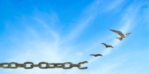 Între suferință și libertate: iertarea