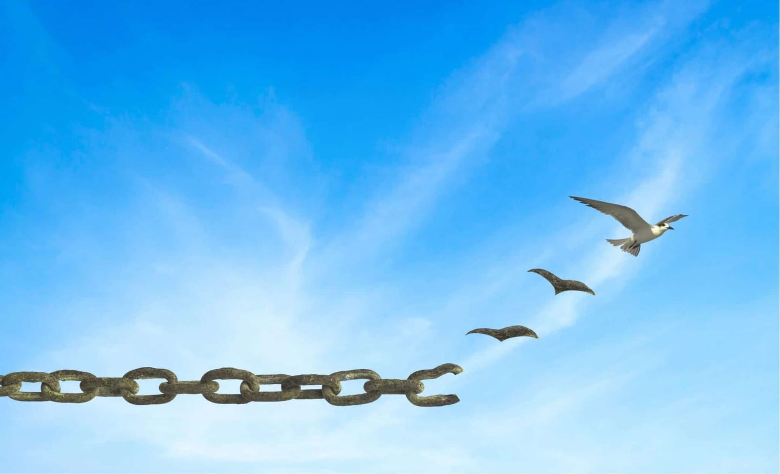 Read more about the article Între suferință și libertate: iertarea