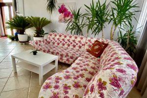 273179556_4956920657693470_4533005562017828901_n